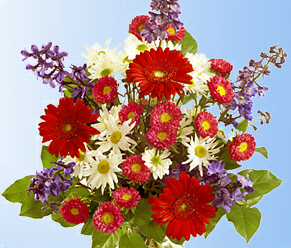 bouquet1.jpg (101860 bytes)